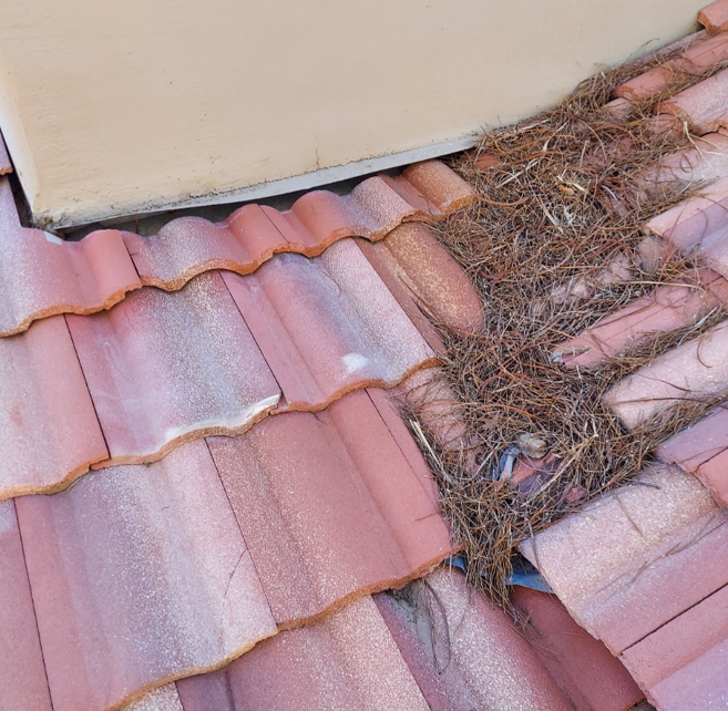 Winter roof maintenance in Las Vegas, Nevada